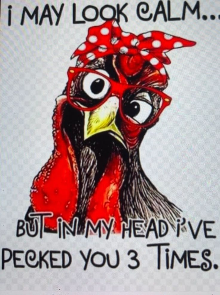 a chicken with a red bow on it's head and the words i may look calm