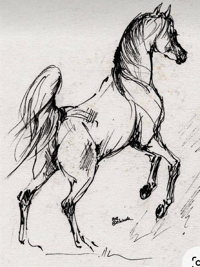 a black and white drawing of a running horse