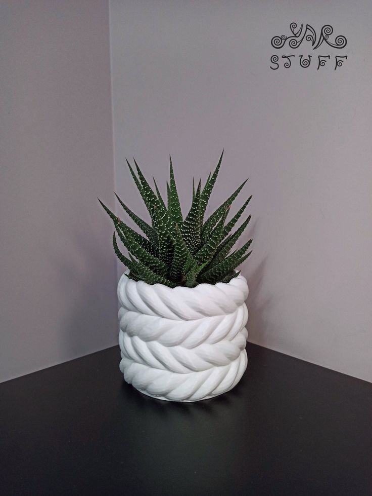 a plant in a white rope vase on a black table