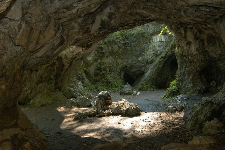 a cave entrance with rocks and trees in the background