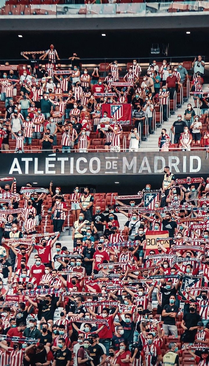 a stadium full of fans with their arms in the air