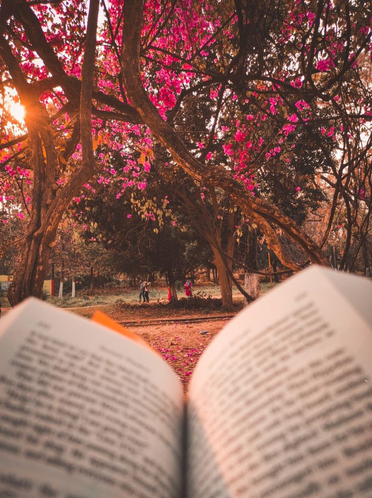 an open book sitting in front of a tree filled with pink flowers