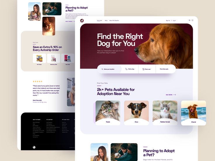 the landing page is designed to look like it has an image of a dog on it