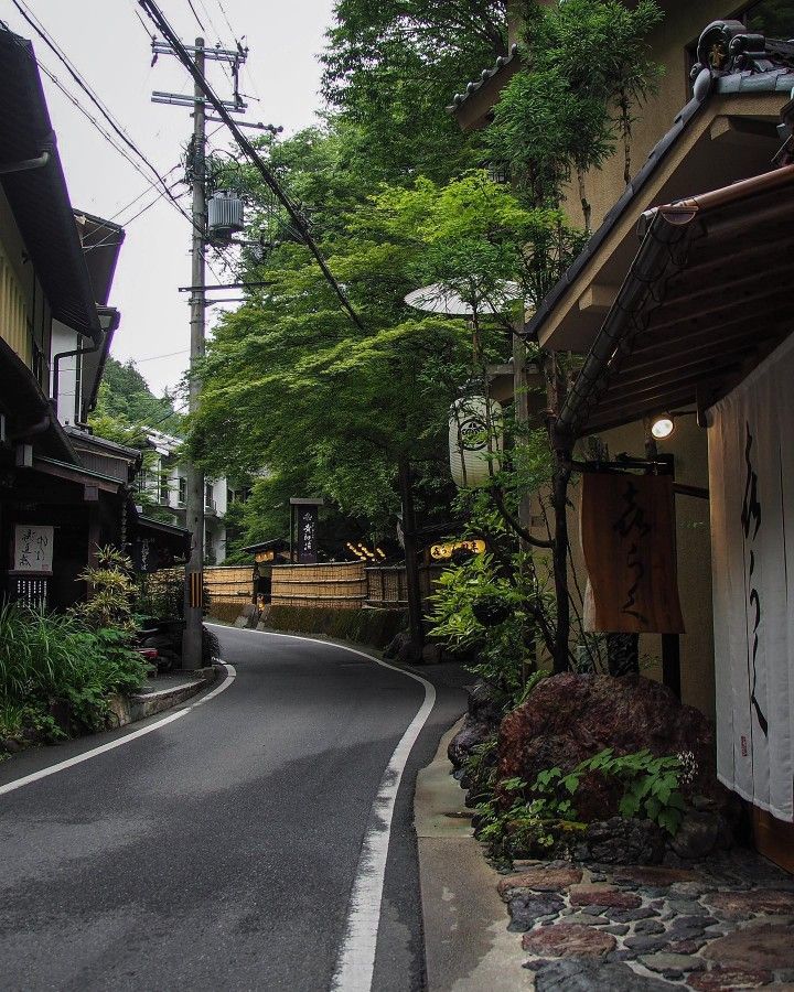 an empty street lined with houses and trees