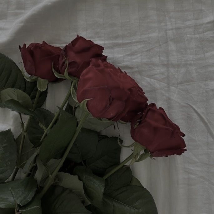 some red roses are laying on a white sheet