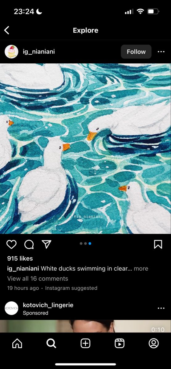 two white ducks swimming in clear blue water