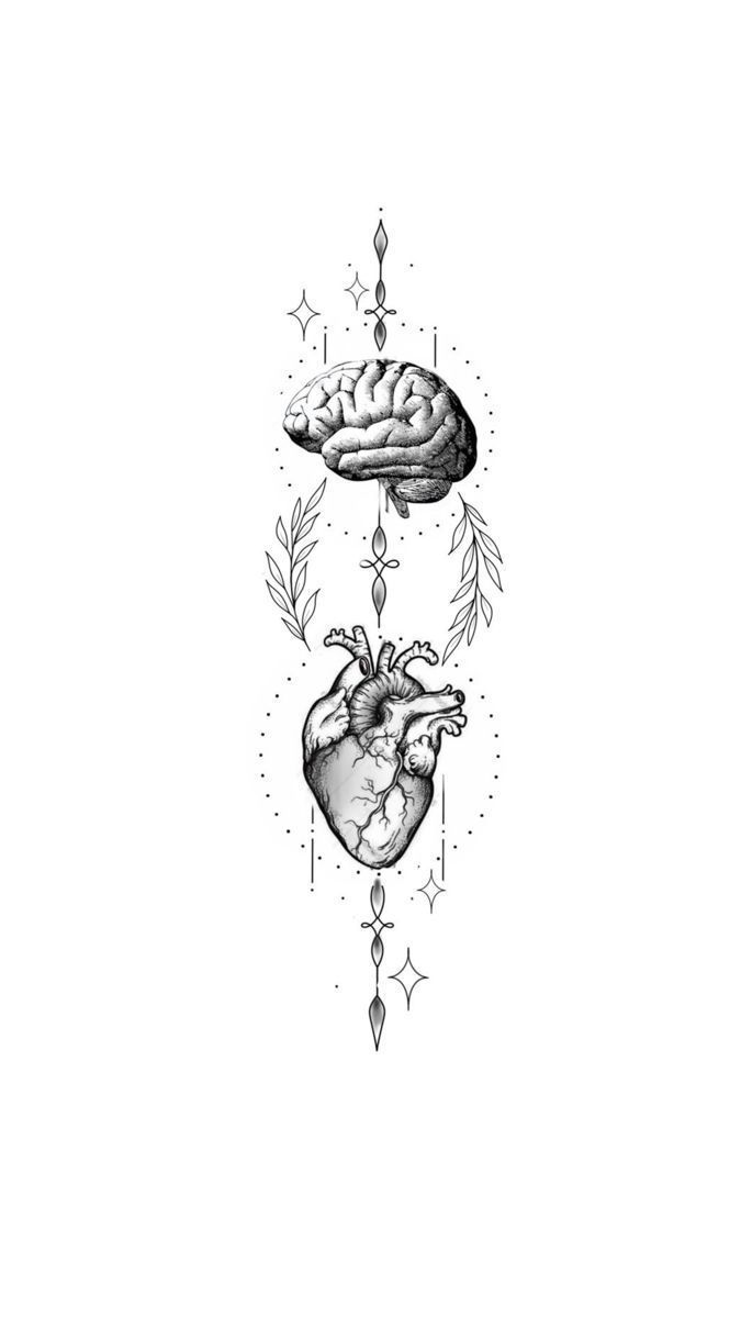 an ink drawing of two human hearts