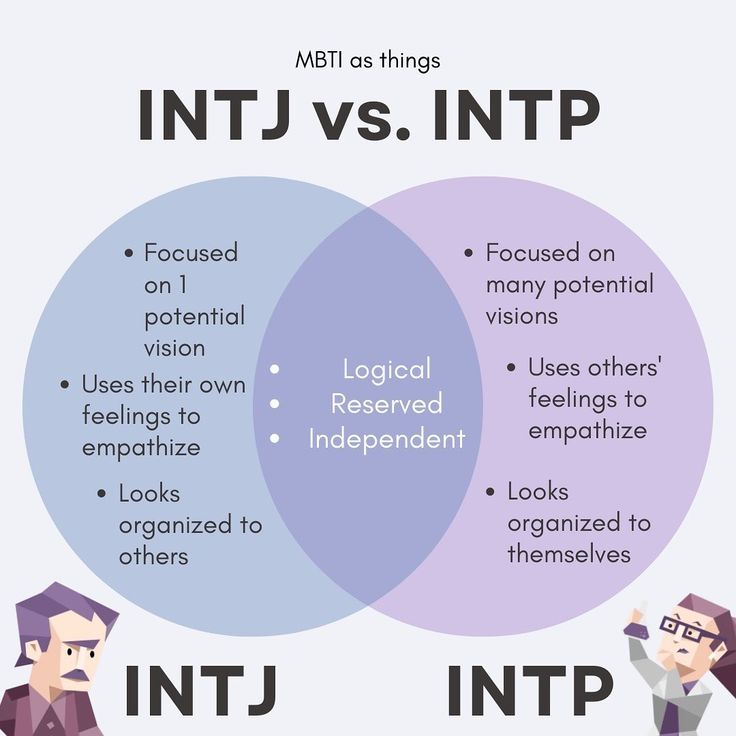 #intj #intp Intj Vs Intp Personality, Intp Intj Couple, Intj And Intp Funny, Intp Vs Intj, Intp Aesthetics, Intp Characters, Intp Mbti, Mbti Intp, Mbti Test