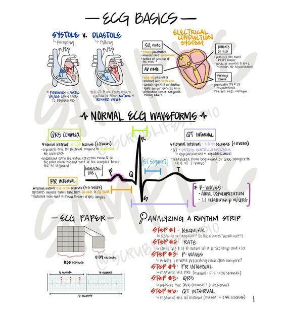 Nursing Cardiac, Nursing Study Tips, Survival Pack, Medical Assistant Student, Paramedic School, Nursing School Essential, Nurse Study Notes, Nursing Mnemonics, Nursing Student Tips