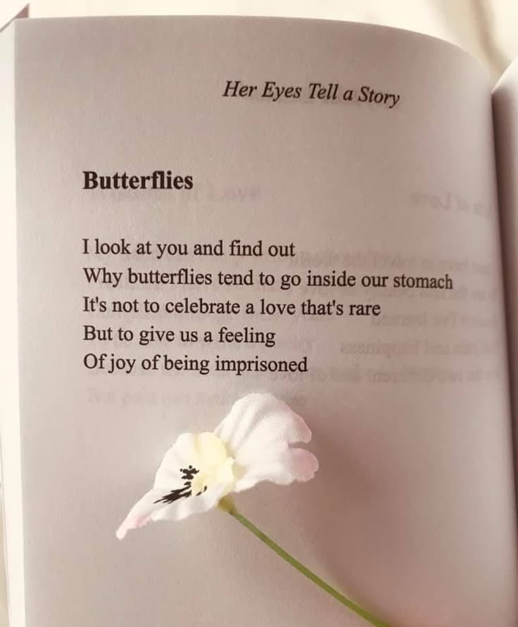 an open book with a flower on it