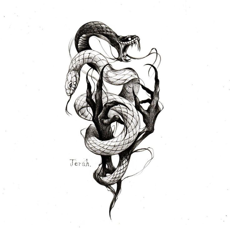 a black and white drawing of a snake