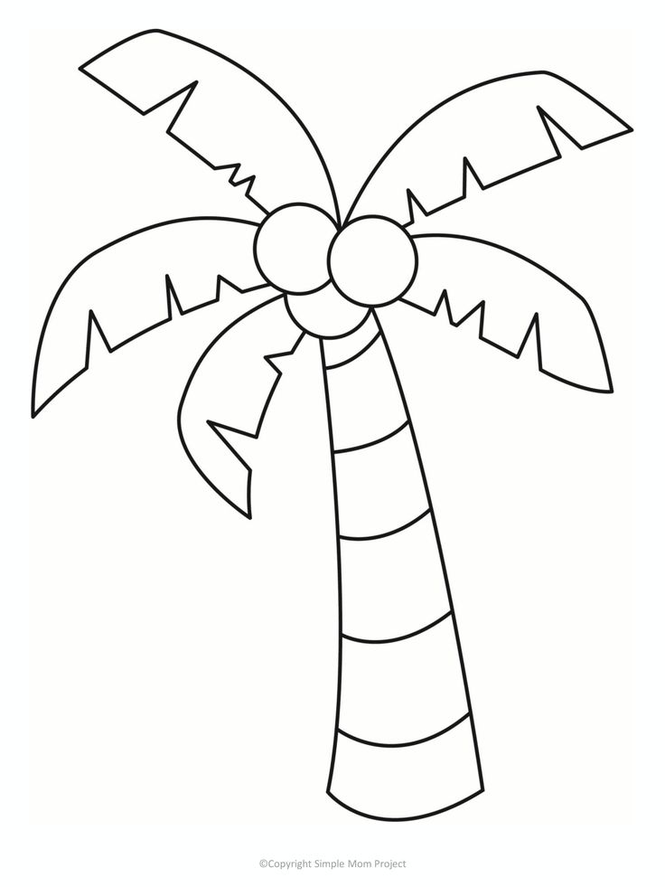 a drawing of a palm tree that is outlined in the shape of a candy cane