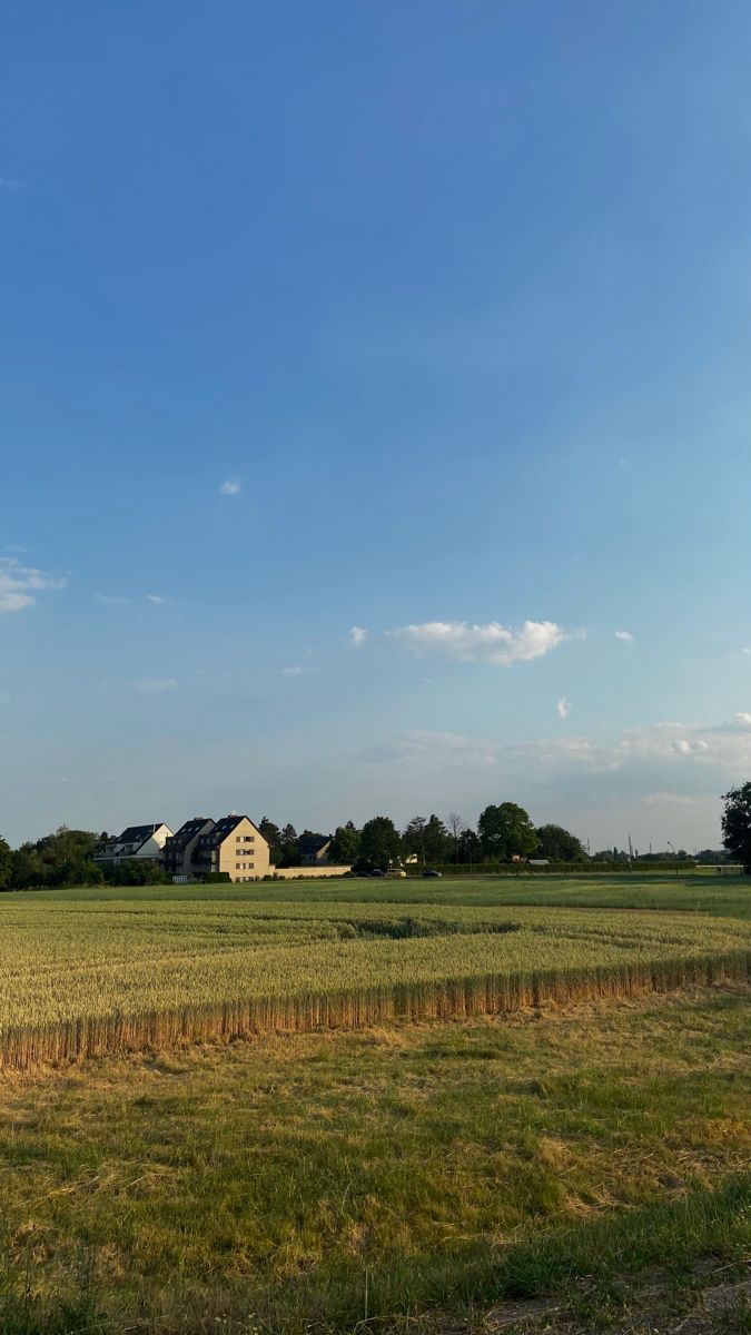 an open field with houses and trees in the distance on a clear, sunny day