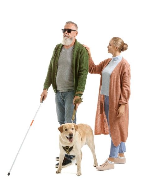 an older man and woman walking with a dog on a leash, both wearing sweaters