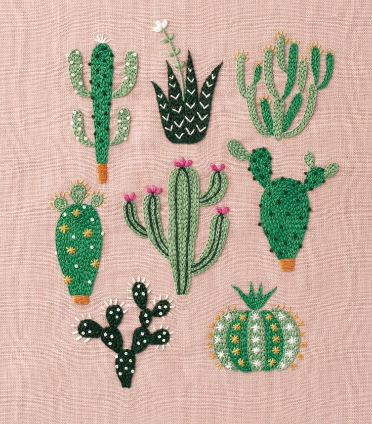 a group of different types of cactus on a piece of cloth