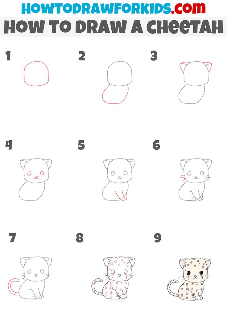 how to draw a cheetah step by step instructions for kids and beginners