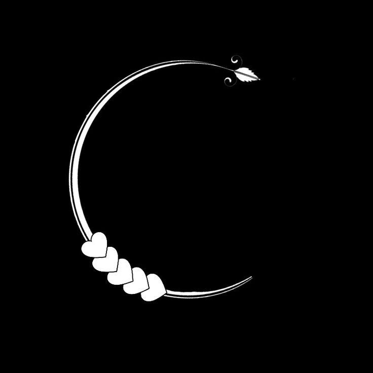 a black and white photo of a circular object with leaves on the end, in front of a dark background