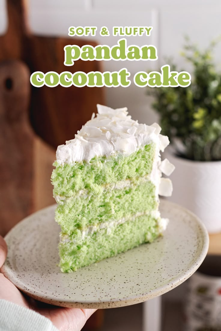 a person holding a plate with a piece of cake on it and the words soft & fluffy pandan coconut cake