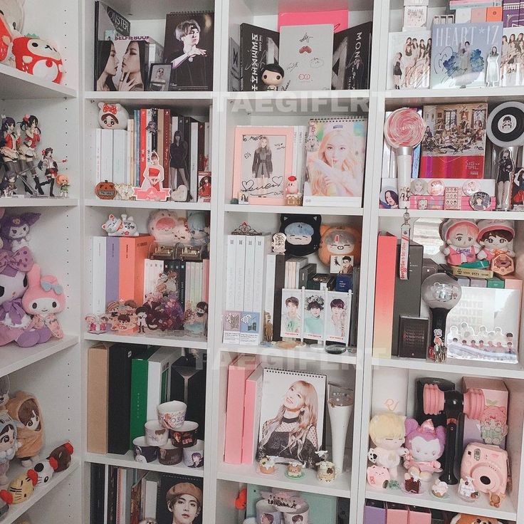 a book shelf filled with lots of different types of stuff animals and dolls on top of it