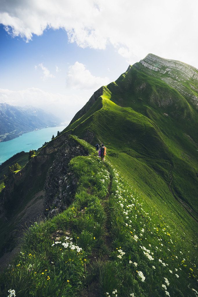 two people hiking up the side of a green mountain