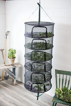 a hanging planter filled with plants on top of a wooden floor next to a green chair