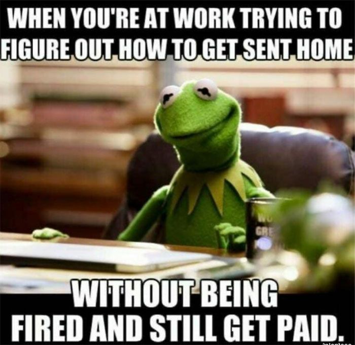 kermie the frog sitting at a desk with text that reads, when you're at work trying to figure out how to get sent home without being fired and still get paid