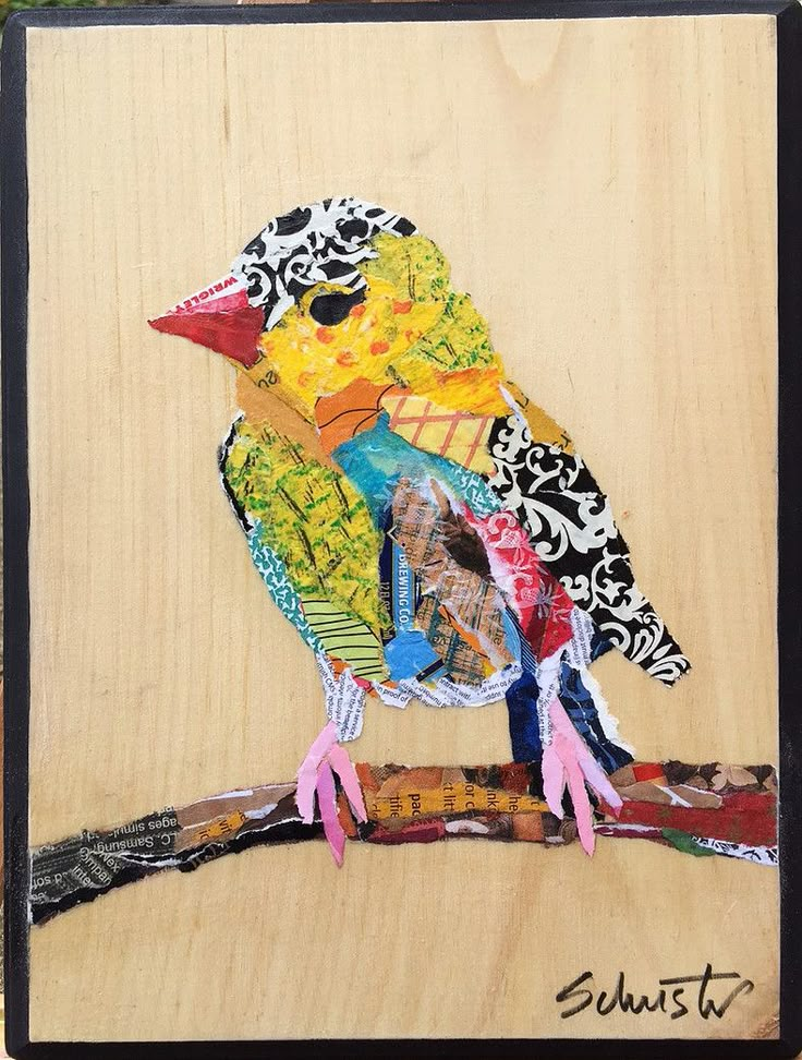 a colorful bird sitting on top of a wooden board