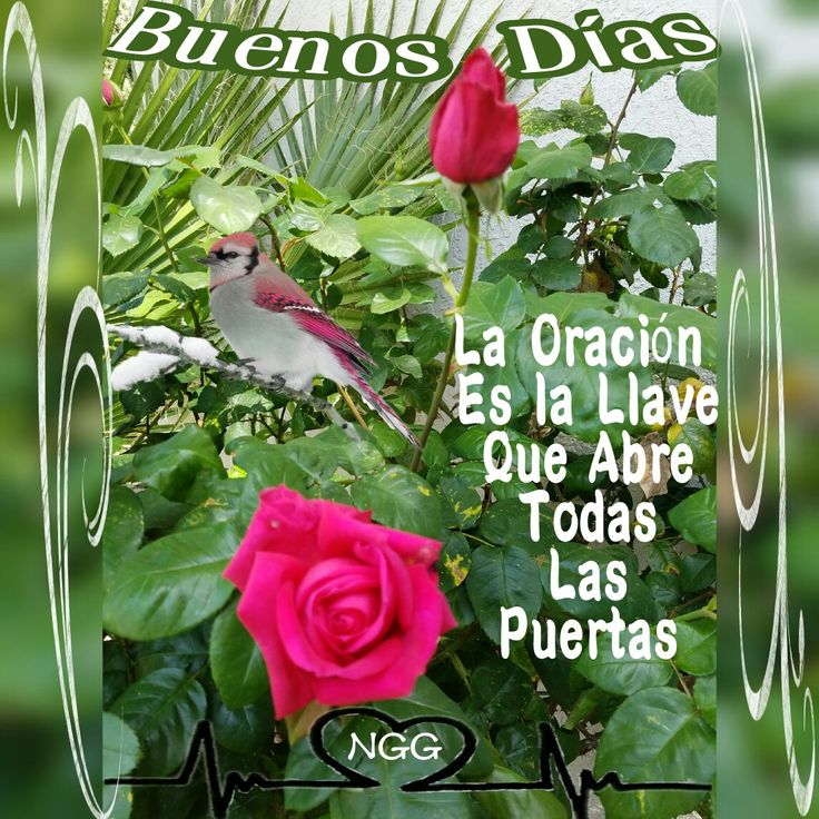 a bird sitting on top of a pink rose next to some green leaves and flowers