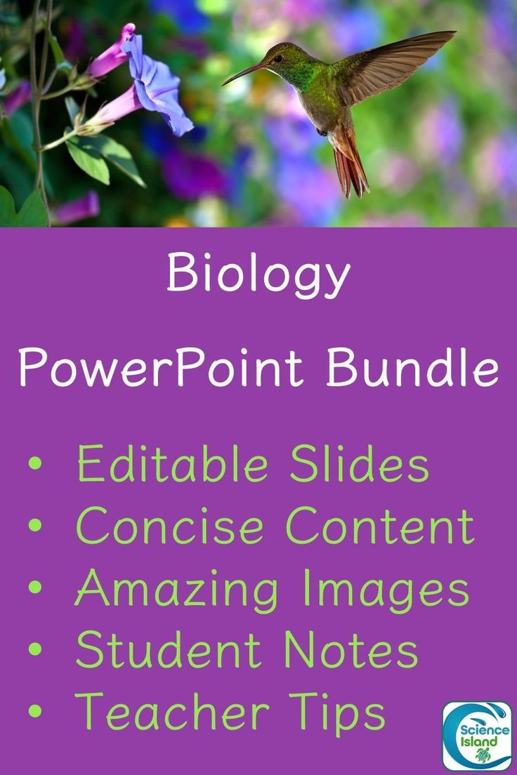 a purple background with the words biology powerpoint bundle and an image of a hummingbird