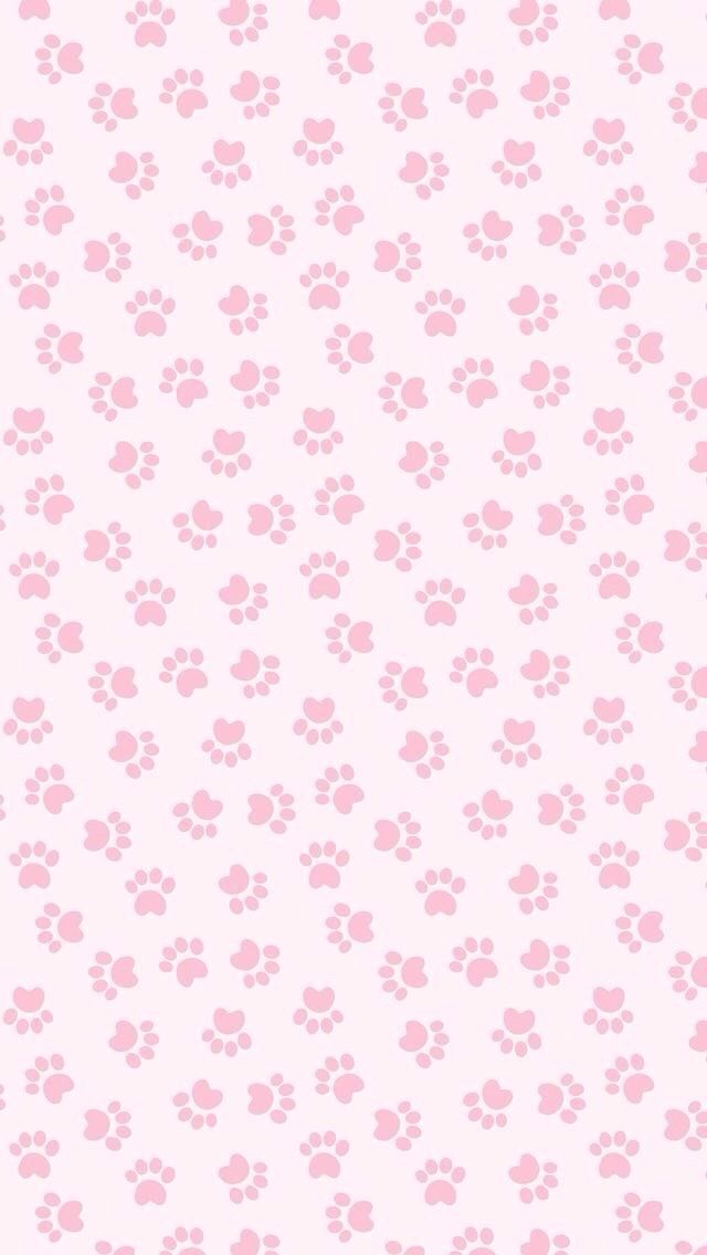 a pink wallpaper with small paw prints on the bottom and bottom half of it