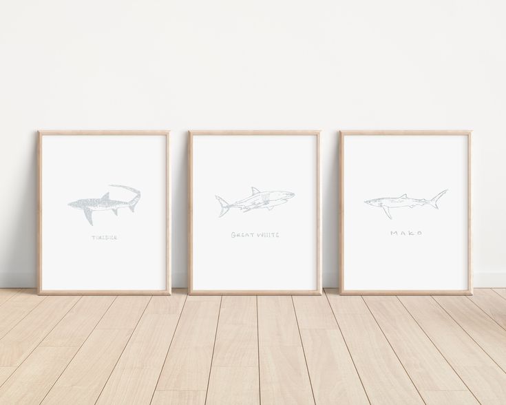 three framed pictures with sharks on them against a white wall in an empty room next to a wooden floor