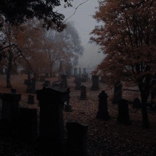 an old cemetery with tombstones and trees in the fog