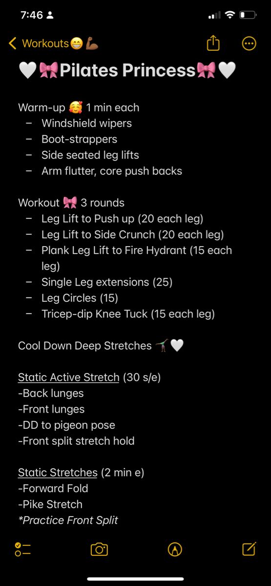 the piles princess workout plan is shown in this screenshote screen shot, which shows