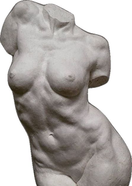 a white sculpture of a woman's torso and breast is shown against a white background