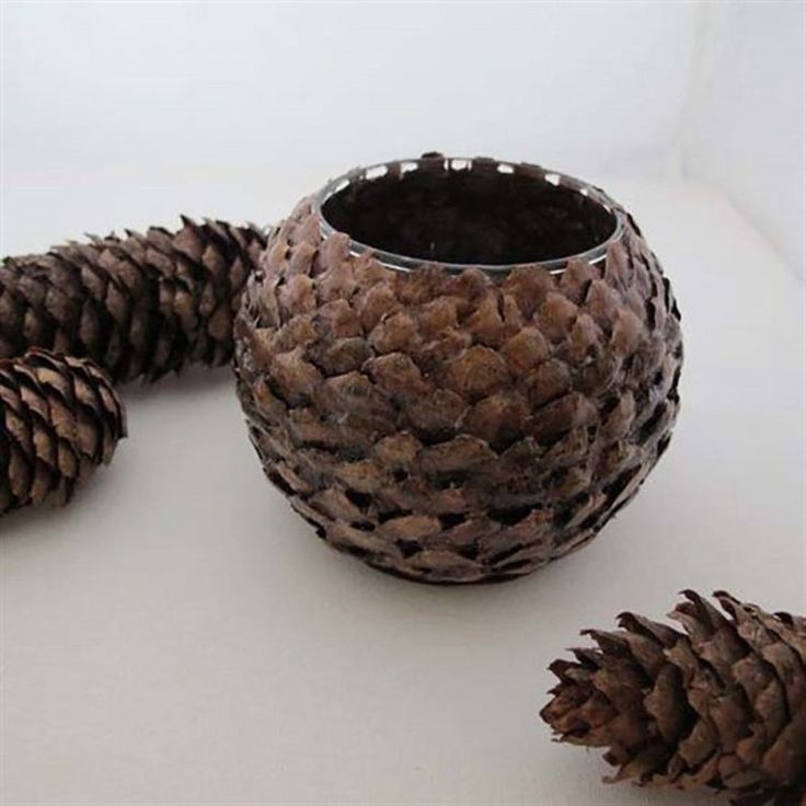 three pine cones sitting next to each other on a white counter top with one cone in the middle