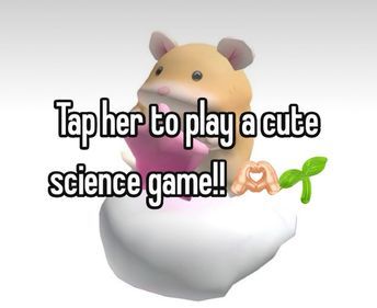 a hamster in a bathtub with the words tapher to play a cute science game