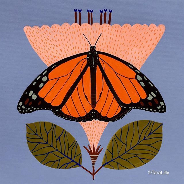 an orange butterfly sitting on top of a pink flower with two green leaves around it