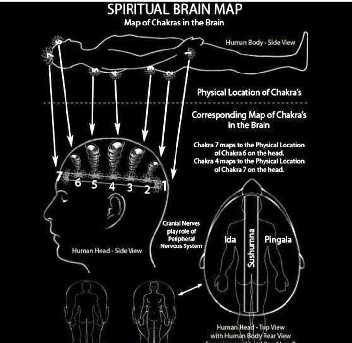 Brain Mapping, Love And Healing, Universal Power, Human Brain, Human Mind, Consciousness, Positive Vibes, Chakra, Physics