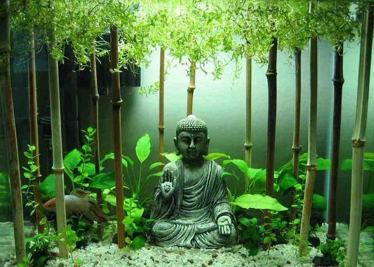 an aquarium filled with plants and a buddha statue