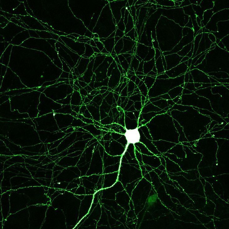 the green light is shining in the dark night, and it looks like something out of space