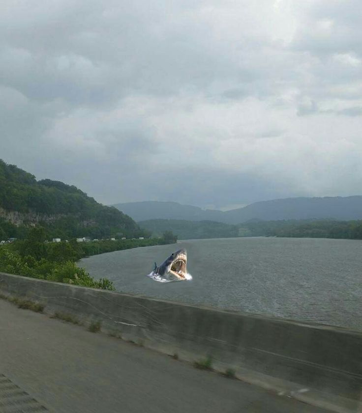 there is a person on a surfboard in the water and mountains behind them,