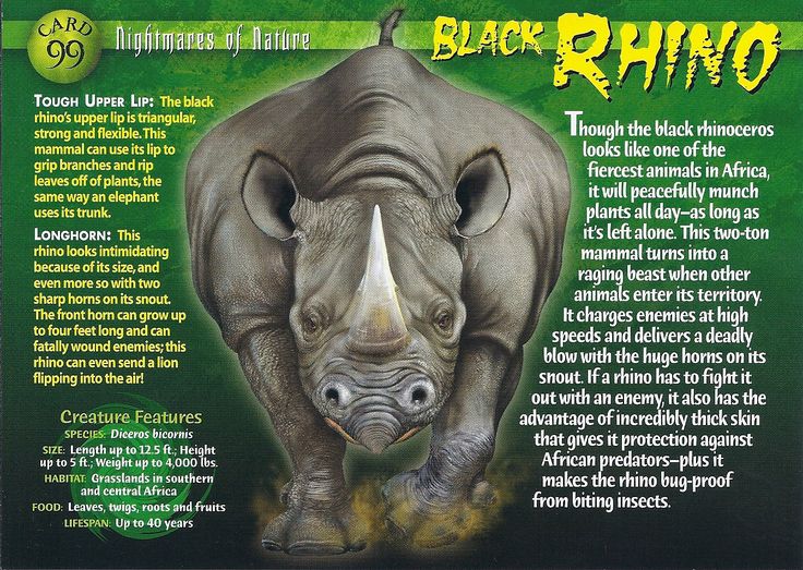 the back side of a rhino with information about it