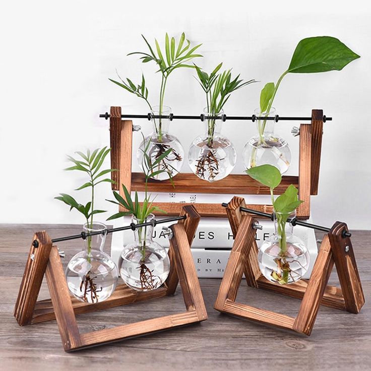 four glass vases with plants in them sitting on a wooden stand next to each other