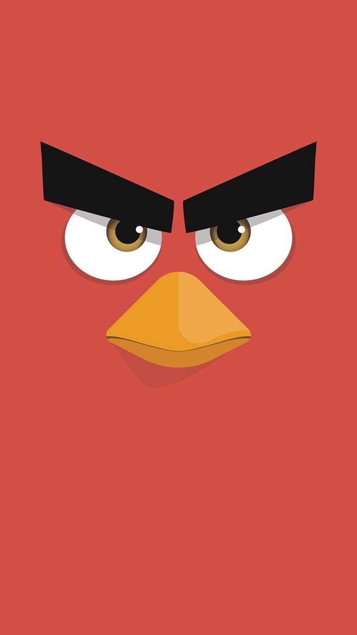 an angry bird with big eyes and large eyebrows, looking at the camera while standing in front of a red background