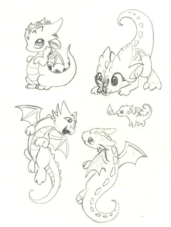 some drawings of different types of dragon