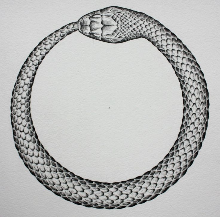 a black and white drawing of a snake's head in a circular shape on paper