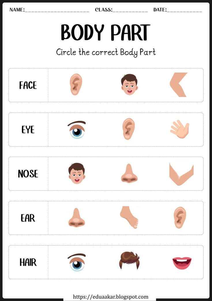 My Body Parts worksheet Worksheets For Pp1, My Body Worksheets For Kindergarten, Body Activity Preschool, Ukg Worksheets Evs, My Body Preschool Worksheets, Parts Of My Body Preschool, Parts Of Body Worksheet For Kindergarten, My Body Activities For Kindergarten, Part Of The Body For Kids