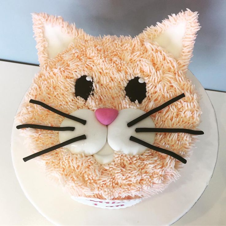 there is a cake that looks like a cat's face on top of it