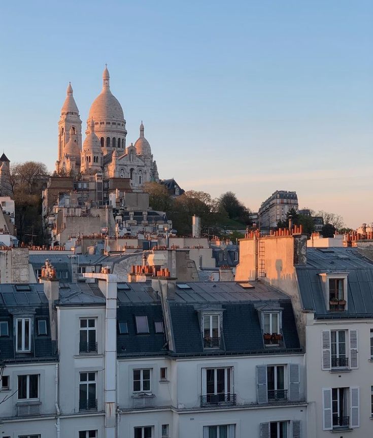 the roofs of several buildings in front of a cathedral