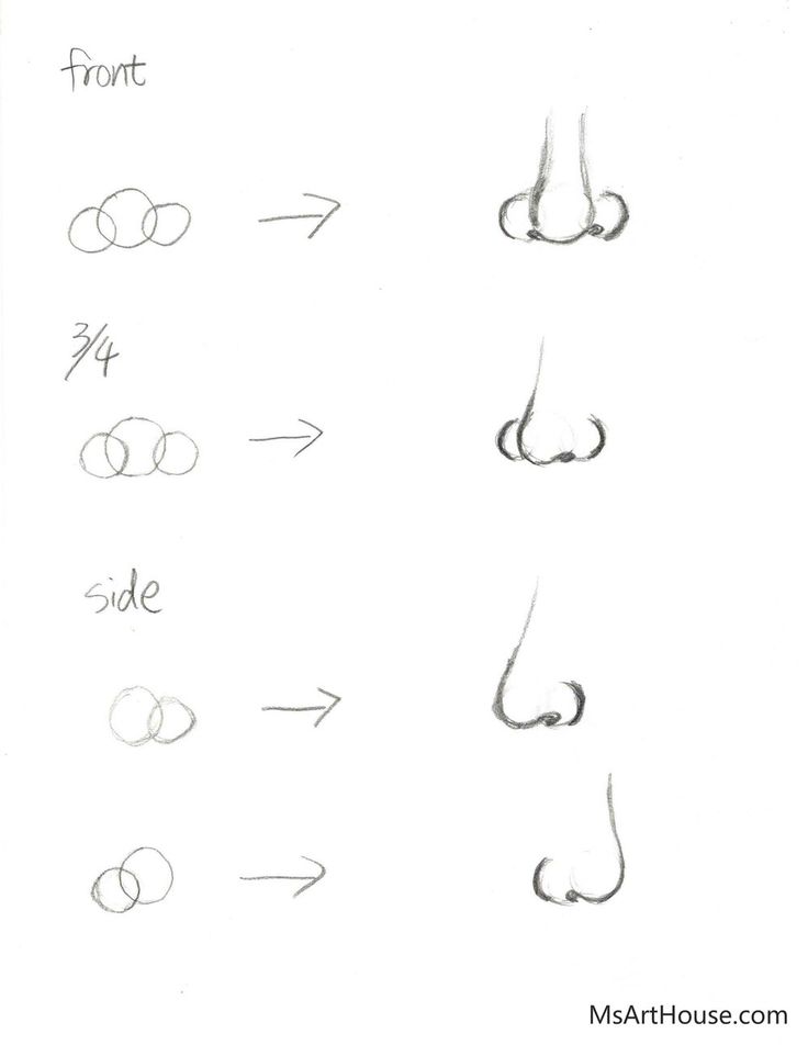 different types of nose shapes and how to draw them with markers on the bottom side